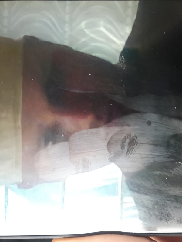 Тамара привлекательная девушка из Истры цена от 2000 руб